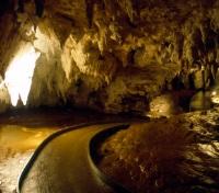 Waitomo Cave